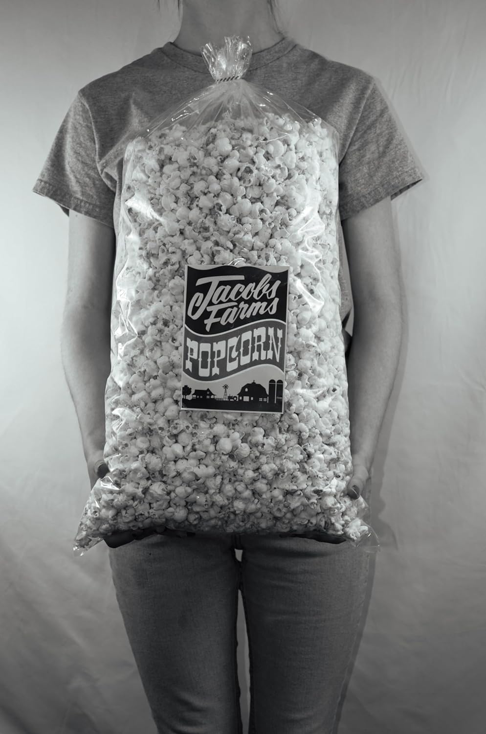 Bulk Salt & Vinegar Gourmet Popcorn